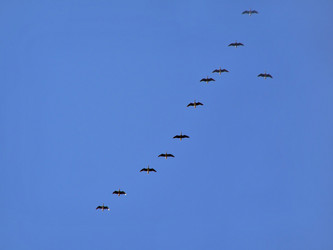 Similar image 441141