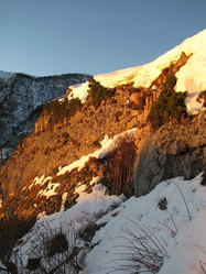 Similar image 441154