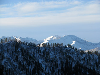 Similar image 441155