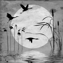 Similar image 441161