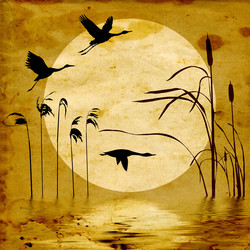 Similar image 441167