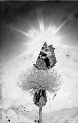 Similar image 441179