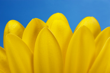 Similar image 441207