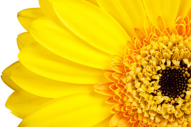 Similar image 441210