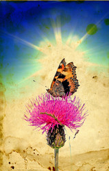 Similar image 441214