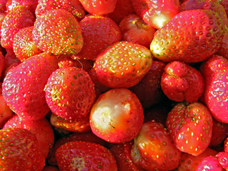 Similar image 441229