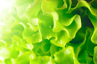 Similar image 441237