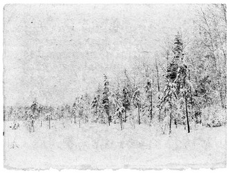 Similar image 441242