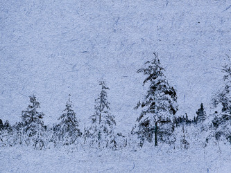 Similar image 441249