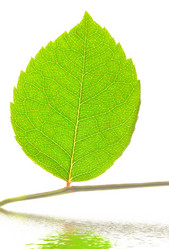 Similar image 441252