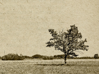 Similar image 441253