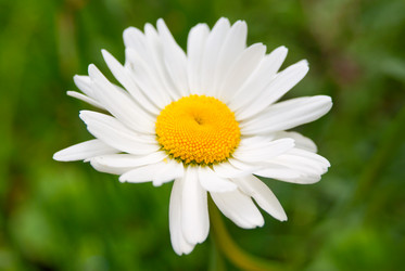 Similar image 441255