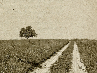 Similar image 441257