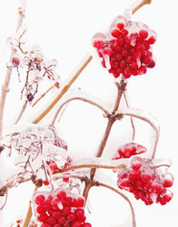 Similar image 441269