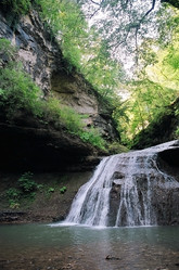 Similar image 441284