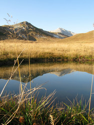 Similar image 441290