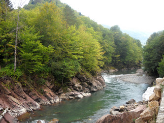 Similar image 441293