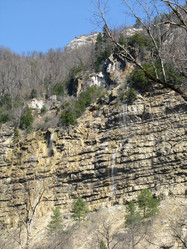 Similar image 441303