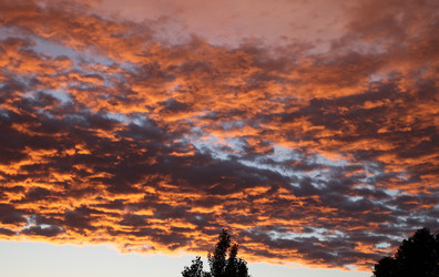 Similar image 441343