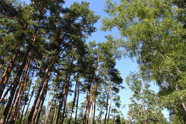 Similar image 441344