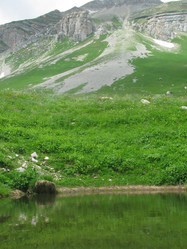 Similar image 441354