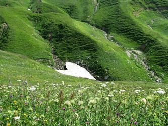 Similar image 441360