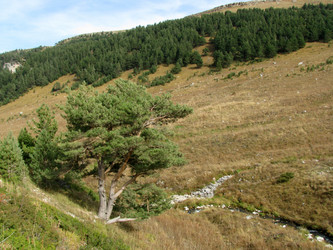 Similar image 441361