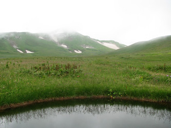 Similar image 441364