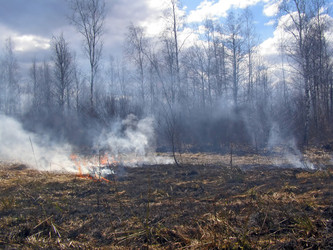 Similar image 441375