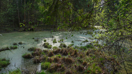 Similar image 441378