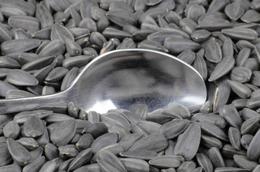 Similar image 441405