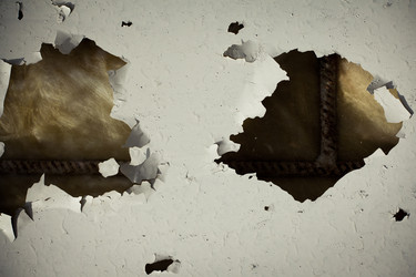 Similar image 441527