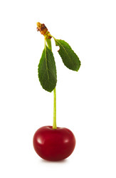 Similar image 441559