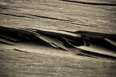 Similar image 441563