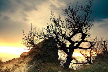 Similar image 441573