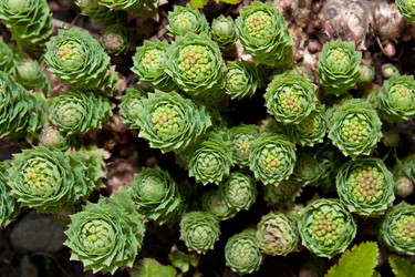 Similar image 441576