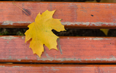 Similar image 441584