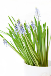 Similar image 441590