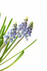 Similar image 441592