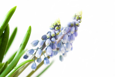 Similar image 441594