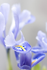 Similar image 441600