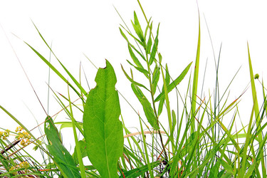 Similar image 441609