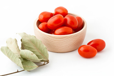 Similar image 441659