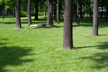 Similar image 441713