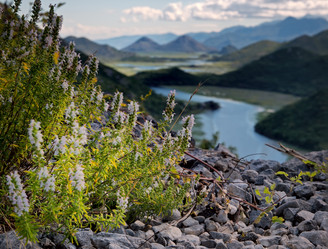 Similar image 441748