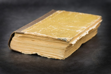 Similar image 441784