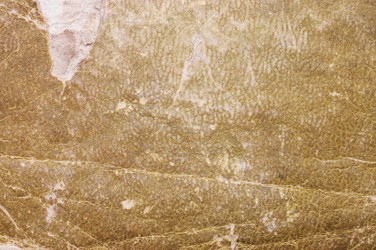 Similar image 441788