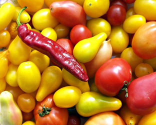 Similar image 441792