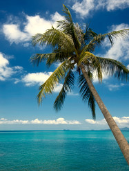 Similar image 441835