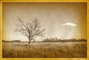 Similar image 441836